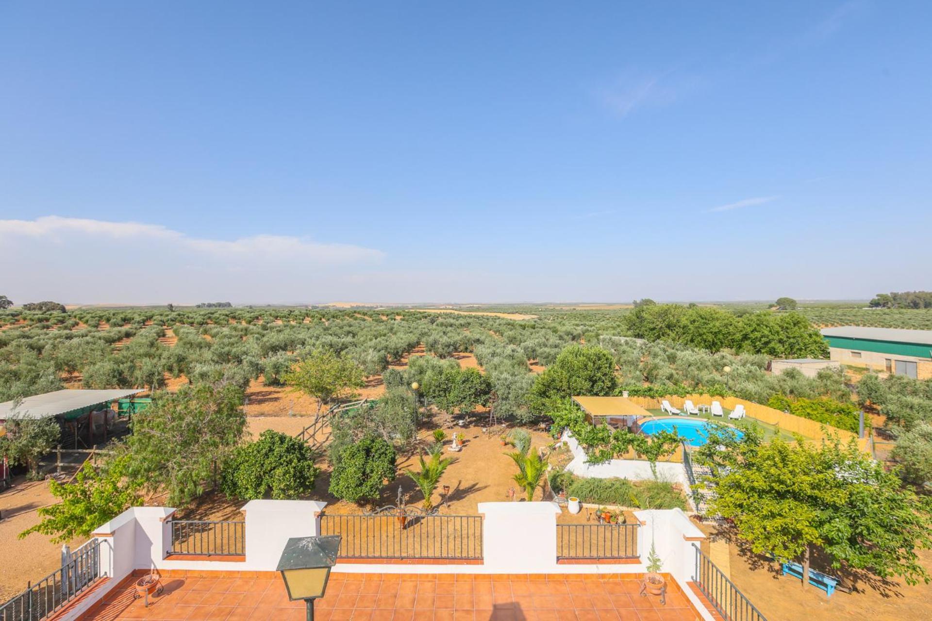 Casa Rural Los Miradores Marchena  Exteriér fotografie