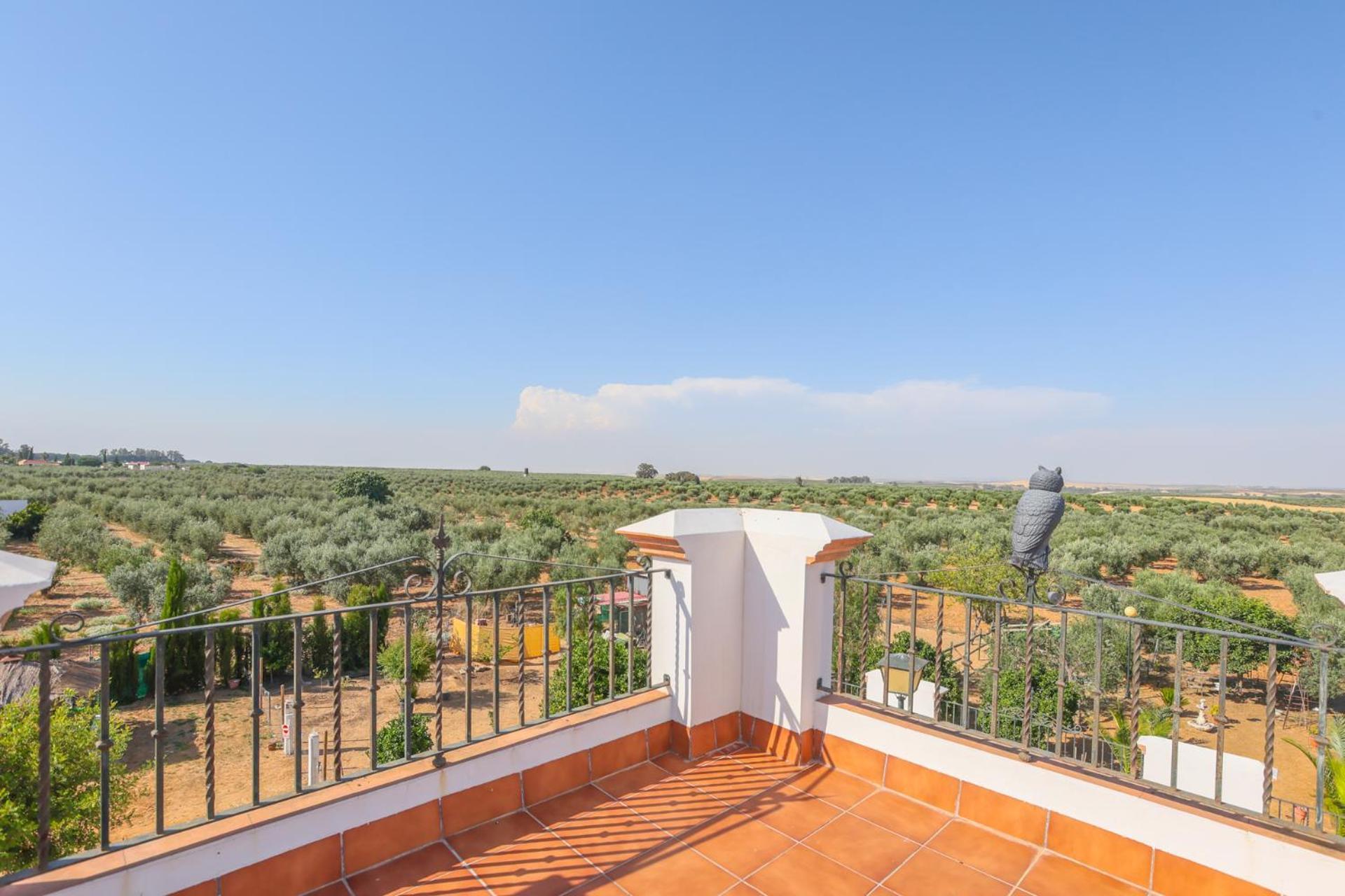 Casa Rural Los Miradores Marchena  Exteriér fotografie